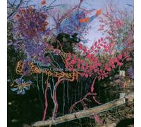 Here Comes the Indian by ANIMAL COLLECTIVE (2003-06-17)