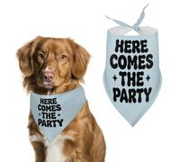 Here Comes The Party Dog Bandana Washable Triangle Bibs