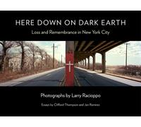 Here Down on Dark Earth : Loss and Remembrance in New York City