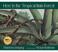 Here Is the Tropical Rain Forest: 1 (Web of Life, 1)