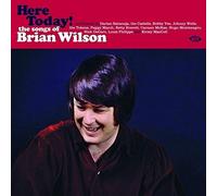 Various Artists Here Today: The Songs of Brian Wilson (Vinyl) (US IMPORT)