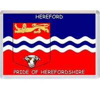Hereford - Pride of Herefordshire - County Flag - Jumbo Fridge Magnet