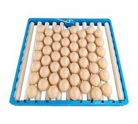 heresell Egg Incubator, 220V Fully Automatic Rotary Egg Turner Roller Tray 50-egg Turner Hatcher Brooder for Bird Eggs Incubator