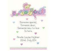 Heritage Crafts 14 count aida Sue Hill Birth Sampler Baby Girl Counted Cross Stitch Kit