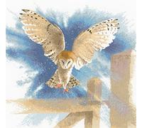 Heritage Crafts Aida Owl in Flight (A) Counted Cross Stitch Kit FFOF483-A 34x34cm, Multicoloured