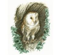 Heritage Crafts Cross Stitch Kit - Barn Owl