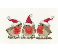Heritage Crafts Cross Stitch Kit - Festive Robins - Aida