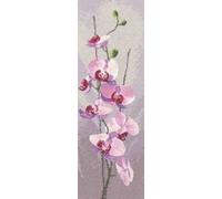 Heritage Crafts John Clayton Flowers Orchid Panel Counted Cross Stitch Kit 14 count aida