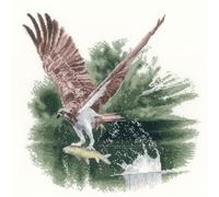 Heritage Crafts Osprey in Flight Cross Stitch Chart Pattern - John Clayton
