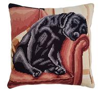 Heritage Crafts Tapestry Kit - After The Walk, Villager Jim, Black Labrador