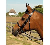 Heritage English Leather Horse or Pony Bridle With Raised Padded Cavesson Noseband (Cob, Havana Brown)