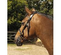 Heritage English Leather In-Hand Bridle Shetland (Black)