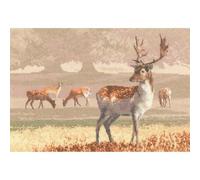 Heritage JCDK1212-A Counted Cross Stitch Kit Aida Wildpark (A) 32x22cm