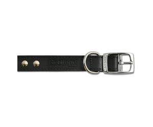 Heritage Leather Studded Collar Black 25mm X45-54cm Sz 6