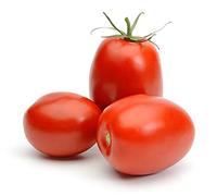 Heritage Tomato Plants, 'San Marzano', 2 x Full Plants in 9cm Pots, Tomato, Tomatoes, Garden Ready, Premium Quality Tomatoes