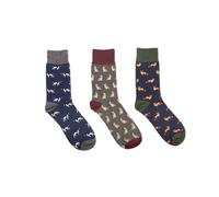 Heritage Traditions Heritage 3 Pack Socks - Pointer Hare Fox