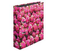 Herlitz max. file folder A4 8 cm Fruit (Assorted Designs And Sets) Drachenfrüchte
