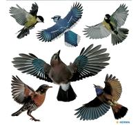 HERMA 15539 Warning Birds Bird Sticker Set for Window Panes, Large, 30 x 30 cm, Self-Adhesive, Removable and Reusable, Bird Protection for Windows, Made of Weatherproof Hard Film, Colourful