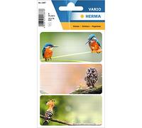 HERMA 1887 Book Labels for Writing on Home Birds, 9 Pieces, 76 x 35 mm, Self Adhesive Lined Book Stickers for School Kids Girls Boys, Multicolor Book Labels Stickers, Colorful