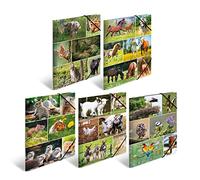 HERMA Collector's Folders A4 Animal Motifs Set, Pack of 10, Children's Cardboard Corner Folder with Animal Motif, Elastic Band, Inner Flaps and Inner Print for Boys and Girls