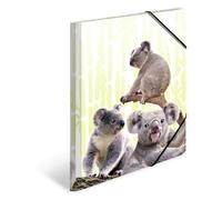 HERMA Collector's Folders A4 Koala Set of 3 Children's Plastic Corner Folder with Animal Motif, Elastic Band, Inner Flaps and Inner Print for Boys and Girls