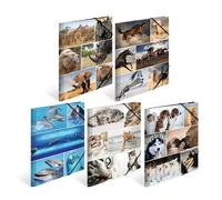 HERMA Elastic Folder Animals, Assorted Colourful Designs, A4, Sturdy Cardboard, with Inner Print, Pack of 10