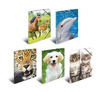 HERMA Elastic Folder Animals, Assorted Colourful Designs, A4, Sturdy Plastic, with Inner Print, Pack of 10