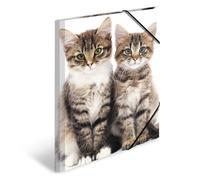 HERMA Elastic Folder Animals with Cats Motif, A3, Sturdy Plastic, with Inner Print, 1 Span Folder