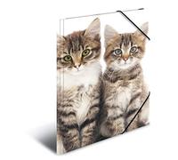 HERMA Elastic Folder Animals with Cats Motif, A4, Sturdy Plastic, with Inner Print, 1 Span Folder