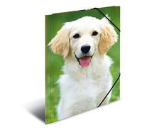 HERMA Elastic Folder Animals with Dogs Motif, A3, Sturdy Plastic, with Inner Print, 1 Span Folder