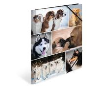 HERMA Elastic Folder Animals with Dogs Motif, A4, Sturdy Cardboard, with Inner Print, 1 Span Folder