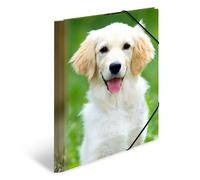 HERMA Elastic Folder Animals with Dogs Motif, A4, Sturdy Plastic, with Inner Print, 1 Span Folder