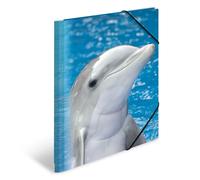 HERMA Elastic Folder Animals with Dolphin Motif, A4, Sturdy Plastic, with Inner Print, 1 Span Folder