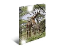 HERMA Elastic Folder Animals with Giraffe Motif, A3, Glossy Plastic, with Inner Print, 1 Span Folder