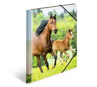 HERMA Elastic Folder Animals with Horses Motif, A4, Sturdy Plastic, with Inner P
