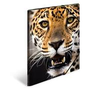HERMA Elastic Folder Animals with Leopard Motif, A3, Sturdy Plastic, with Inner Print, 1 Span Folder