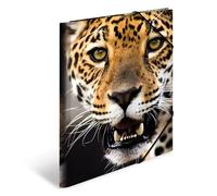 HERMA Elastic Folder Animals with Leopard Motif, A4, Sturdy Plastic, (US IMPORT)