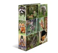 HERMA Lever Arch File Animal Worlds with Forest Animals Motif, A4, 70 mm Spine, with Inner Print, Pack of 10