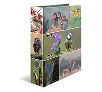 HERMA Lever Arch File Animal Worlds with Home Birds Motif, A4, 70 mm Spine, with Inner Print, 1 Folder