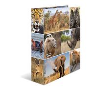 HERMA Lever Arch File Animals with Africa Animals Motif, A4, 70 mm Spine, with Inner Print, 1 Folder