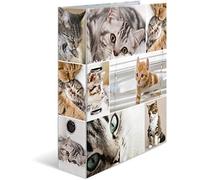 HERMA Lever Arch File Animals with Cats Motif, A4, 70 mm Spine, with Inner Print, 1 Folder