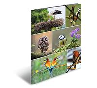 HERMA Portfolio Folder A4 Birds, Children's Corner Folder Made of Cardboard with Animal Motif, Elastic Band, Inner Flaps and Inner Print for Boys and Girls