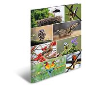 HERMA Portfolio Folders A3 Birds Set of 3 Children's Cardboard Corner Folder with Animal Motif, Elastic Band, Inner Flaps and Inner Print for Boys and Girls