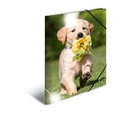 HERMA Portfolio Folders A3 Dog Set, 3 Pieces, Children's Corner Folder Made of Plastic with Animal Motif, High Gloss Look, Elastic Band, Inner Flaps and Inner Print for Boys and Girls