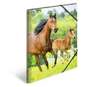 HERMA Portfolio Folders A3 Horse Set of 3 Children's Plastic Corner Folder with Animal Motif, Elastic Band, Inner Flaps and Inner Print for Boys and Girls