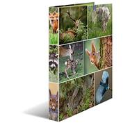HERMA 19477 Ring Binders A4 Animals Forest Animals, Pack of 3, Narrow, 2 Rings, 35 mm Wide, Cardboard Folder with Inner Print for School and Office, Sturdy Cardboard Ring Binder Set for Boys and Girls
