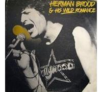 Herman Brood and His Wild Romance - R & Roll Junkie (UK Import) [Musikkassette]