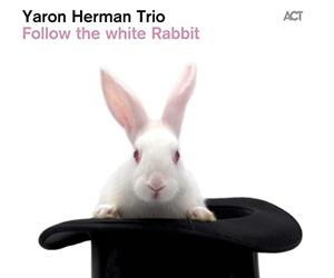 Herman Yaron - Follow the White Rabbit