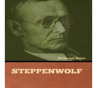 Hermann Hesse Steppenwolf Hardcover Book Hermann Hesse Multicolor