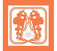 Stéphane Foenkinos Pierre-Alexis Dumas Bern Hermès pop-up (Hardback) (US IMPORT)